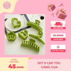 Set 9 cặp tóc càng cua