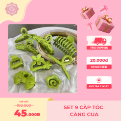 Set 9 cặp tóc càng cua