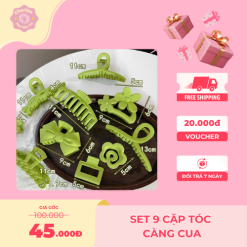 Set 9 cặp tóc càng cua