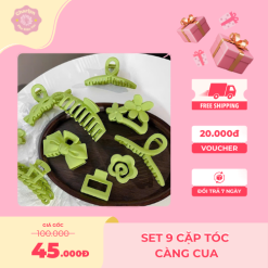 Set 9 cặp tóc càng cua